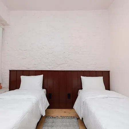 Penelope's Loft - Just Renovated 5br In Centre Daire İstanbul